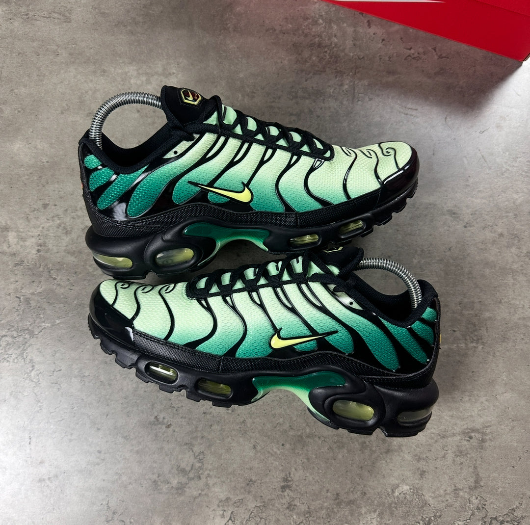Nike Air Max TN's Emerald Green